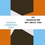 Eg snakkar om det heile tida